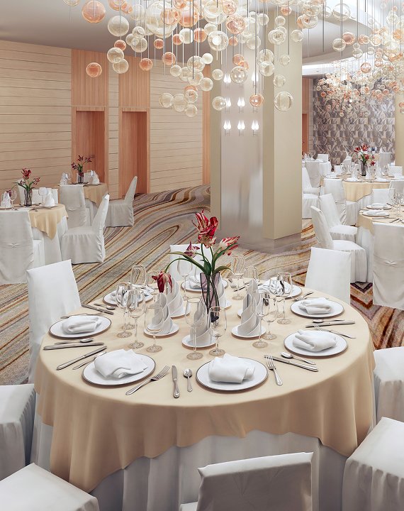 Mujib Biriyani Catering event setup